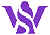 Wise Audits logo